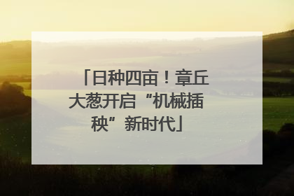 日种四亩！章丘大葱开启“机械插秧”新时代