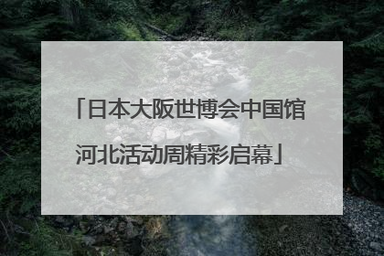 日本大阪世博会中国馆河北活动周精彩启幕