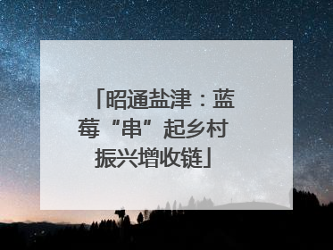 昭通盐津：蓝莓“串”起乡村振兴增收链