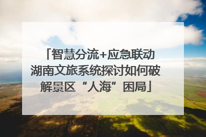 智慧分流+应急联动 湖南文旅系统探讨如何破解景区“人海”困局