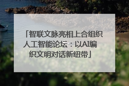 智联文脉亮相上合组织人工智能论坛：以AI编织文明对话新纽带
