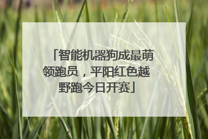 智能机器狗成最萌领跑员，平阳红色越野跑今日开赛