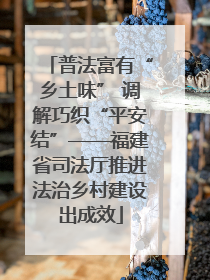 普法富有“乡土味” 调解巧织“平安结”——福建省司法厅推进法治乡村建设出成效