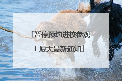 暂停预约进校参观！厦大最新通知