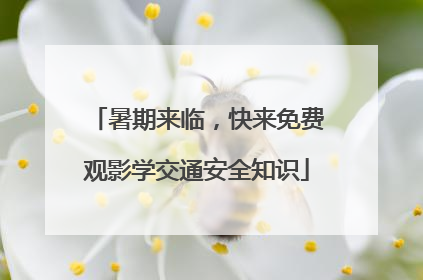 暑期来临，快来免费观影学交通安全知识