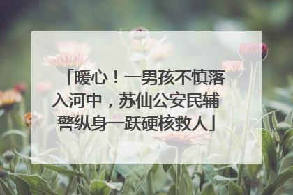 暖心！一男孩不慎落入河中，苏仙公安民辅警纵身一跃硬核救人