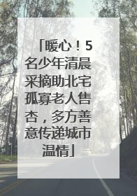 暖心！5名少年清晨采摘助北宅孤寡老人售杏，多方善意传递城市温情