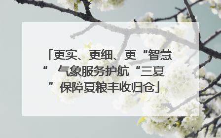 更实、更细、更“智慧” 气象服务护航“三夏”保障夏粮丰收归仓
