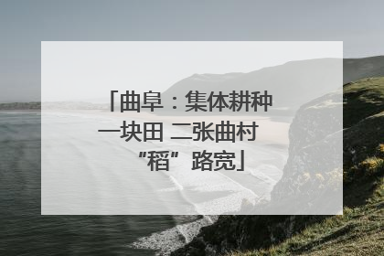 曲阜：集体耕种一块田 二张曲村“稻”路宽