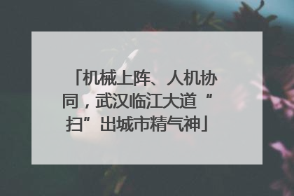 机械上阵、人机协同，武汉临江大道“扫”出城市精气神