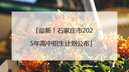 最新！石家庄市2025年高中招生计划公布