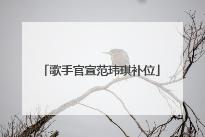 歌手官宣范玮琪补位