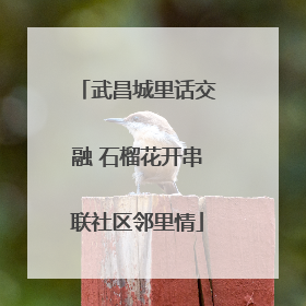 武昌城里话交融 石榴花开串联社区邻里情