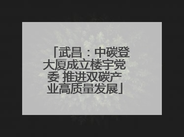 武昌：中碳登大厦成立楼宇党委 推进双碳产业高质量发展