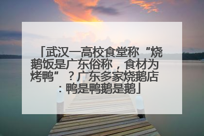 武汉一高校食堂称“烧鹅饭是广东俗称，食材为烤鸭”？广东多家烧鹅店：鸭是鸭鹅是鹅