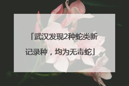 武汉发现2种蛇类新记录种，均为无毒蛇