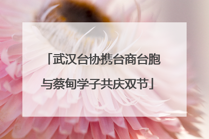 武汉台协携台商台胞与蔡甸学子共庆双节