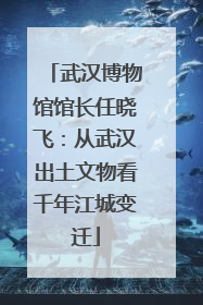 武汉博物馆馆长任晓飞：从武汉出土文物看千年江城变迁