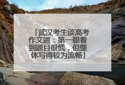 武汉考生谈高考作文题：第一眼看到题目很慌，但整体写得较为流畅