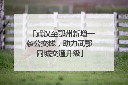 武汉至鄂州新增一条公交线，助力武鄂同城交通升级