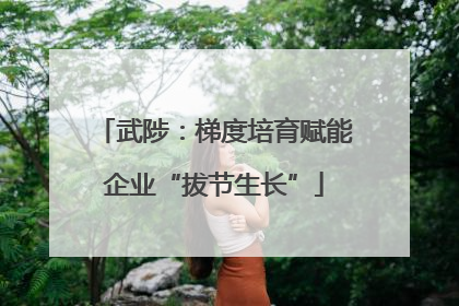 武陟：梯度培育赋能企业“拔节生长”