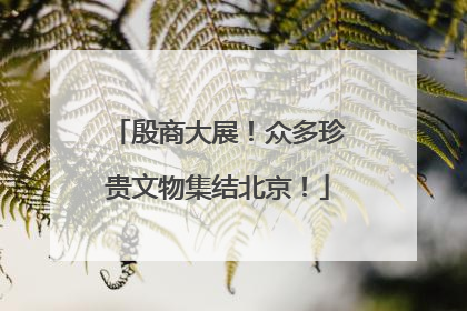殷商大展！众多珍贵文物集结北京！
