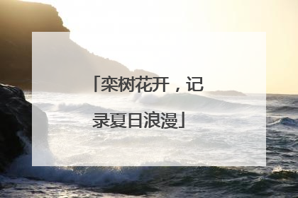 栾树花开，记录夏日浪漫