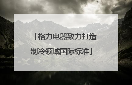 格力电器致力打造制冷领域国际标准