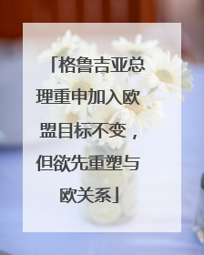 格鲁吉亚总理重申加入欧盟目标不变，但欲先重塑与欧关系