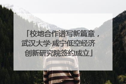 校地合作谱写新篇章，武汉大学·咸宁低空经济创新研究院签约成立