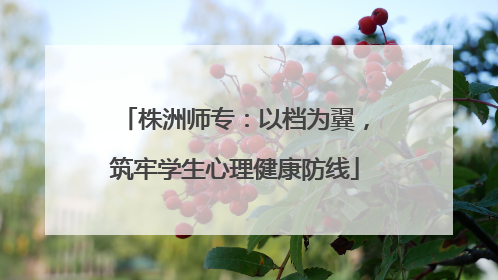 株洲师专：以档为翼，筑牢学生心理健康防线