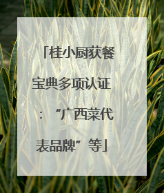 桂小厨获餐宝典多项认证：“广西菜代表品牌”等