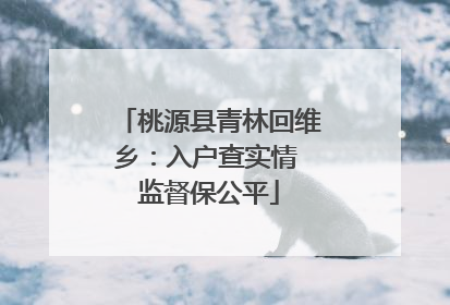 桃源县青林回维乡：入户查实情 监督保公平