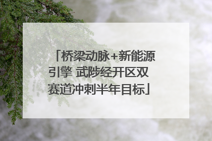 桥梁动脉+新能源引擎 武陟经开区双赛道冲刺半年目标