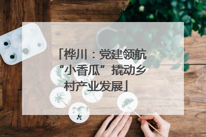桦川：党建领航“小香瓜”撬动乡村产业发展