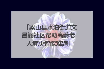 梁山县水泊街道文昌阁社区帮助高龄老人解决智能难题