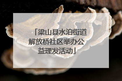 梁山县水泊街道解放桥社区举办公益理发活动