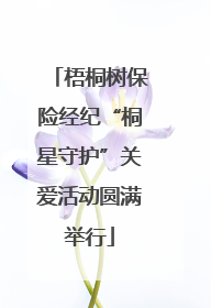 梧桐树保险经纪“桐星守护”关爱活动圆满举行
