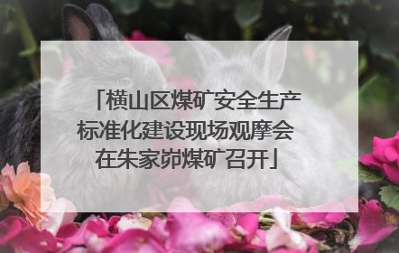 横山区煤矿安全生产标准化建设现场观摩会在朱家峁煤矿召开