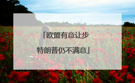 欧盟有意让步 特朗普仍不满意
