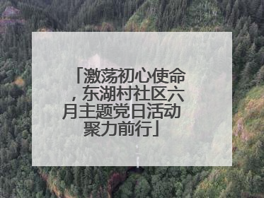 激荡初心使命，东湖村社区六月主题党日活动聚力前行