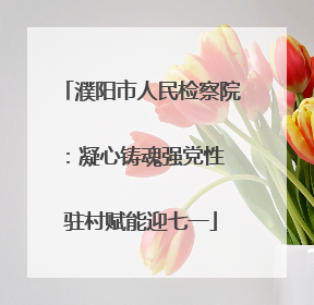 濮阳市人民检察院：凝心铸魂强党性 驻村赋能迎七一
