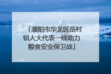 濮阳市华龙区岳村镇人大代表一线助力粮食安全保卫战