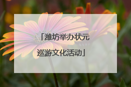 潍坊举办状元巡游文化活动