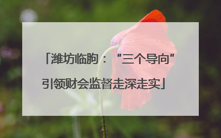 潍坊临朐：“三个导向”引领财会监督走深走实