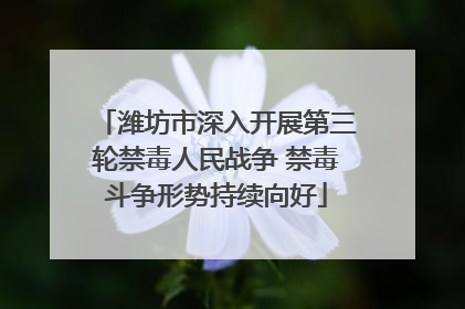 潍坊市深入开展第三轮禁毒人民战争 禁毒斗争形势持续向好