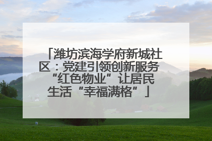 潍坊滨海学府新城社区：党建引领创新服务 “红色物业”让居民生活“幸福满格”