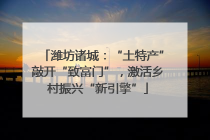 潍坊诸城：“土特产”敲开“致富门”，激活乡村振兴“新引擎”