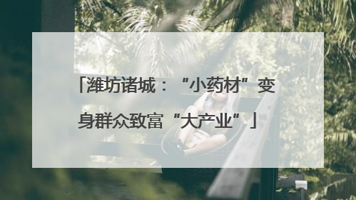 潍坊诸城：“小药材”变身群众致富“大产业”