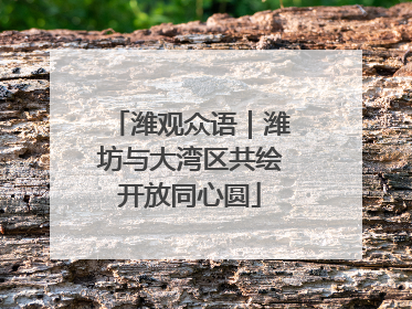 潍观众语｜潍坊与大湾区共绘开放同心圆
